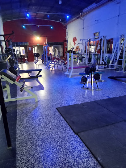 Gimnasio Mazovia