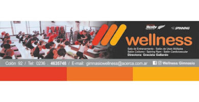 GIMNASIO WELLNESS