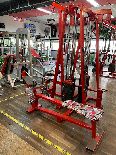 SG treinos Gym