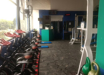 Gimnasio Fitness VIP