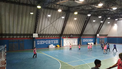 Gimnasio Universitario