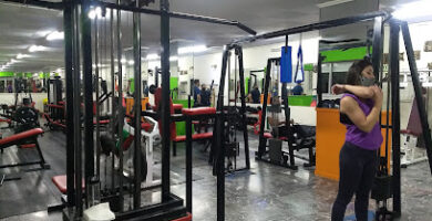 WELLNESS GIMNASIO