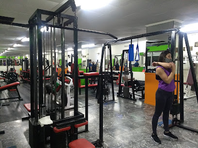 WELLNESS GIMNASIO