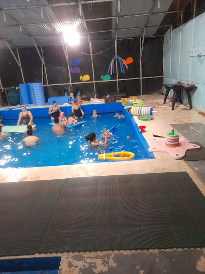 Maciel Gimnasio & Natación